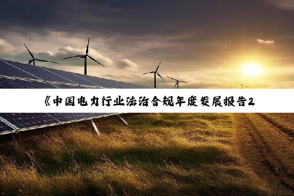 《中国电力行业法治合规年度发展报告2025》发布