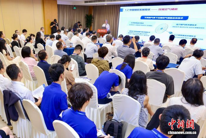 聚焦“多元储能”“新型电池” 中国科协年会举办两场专题论坛