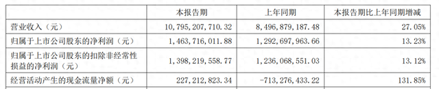 电力储能双轮驱动，产业链半年报释放多板块共振信号