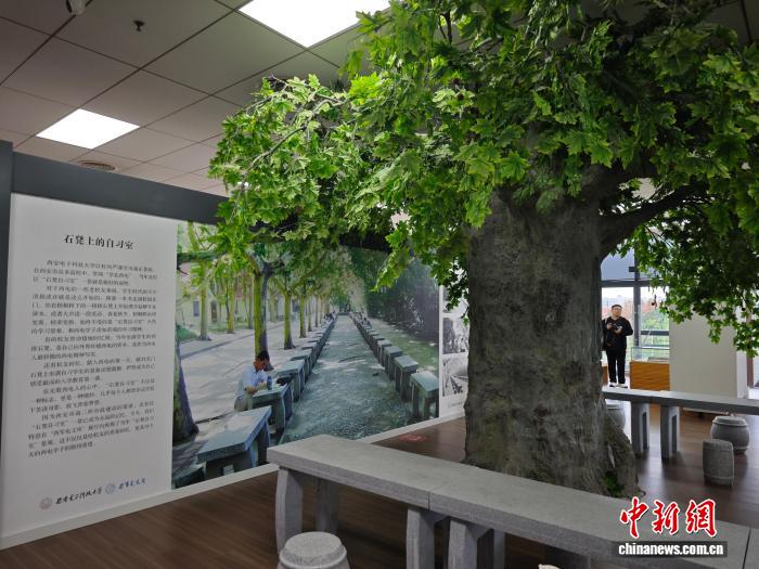 图为复刻的“石凳上的自习室”。阿琳娜 摄